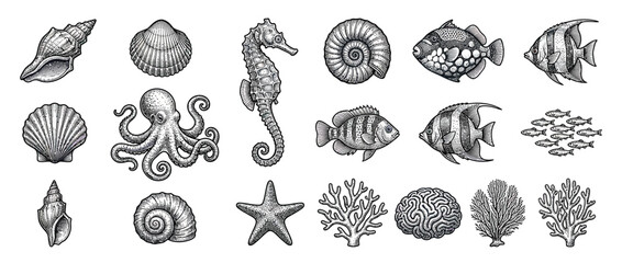Hand-drawn underwater life and shells collection © Fredik