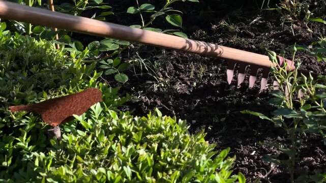 Close-Up of Garden Rake Leveling Soil in Decorative Flower Bed