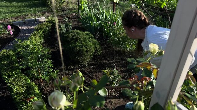 Woman Leveling Soil in Decorative Flower Bed with Garden Rake