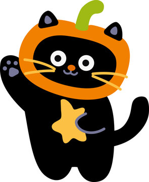 Cute Black Cat Wearing a Pumpkin Costume Holding a Star