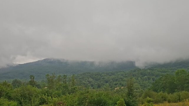Scene of the mountain and forest in the fog in the morning