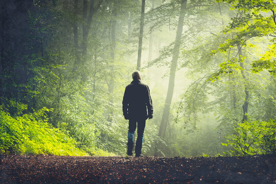 Man walking on forest track in morning light