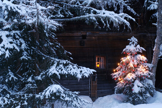 Decorated Christmas tree outside a snowy log cabin at dusk