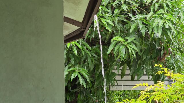 On a rainy in the day