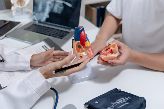 Doctor consulting with a patient about cardiovascular health, explaining heart anatomy, reviewing examination findings, discussing treatment options, and providing professional medical care.
