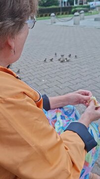 Woman in the park feeding birds