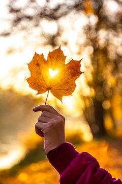 Girl's hand holding autumn leaf with heart-shaped hole at sunset
