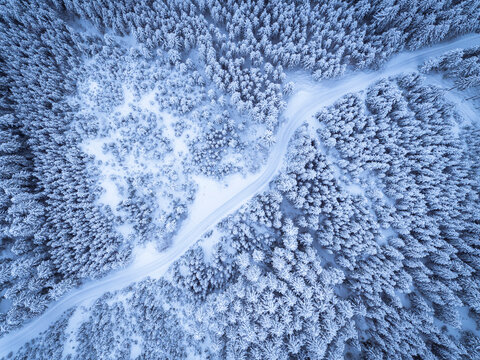 Austria, Gosau, aerial view of road through coniferous forest in winter