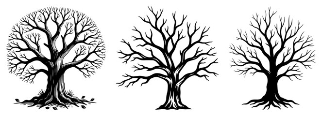 Bare trees without leaves in woodcut style illustration, winter autumn season tree silhouettes with roots