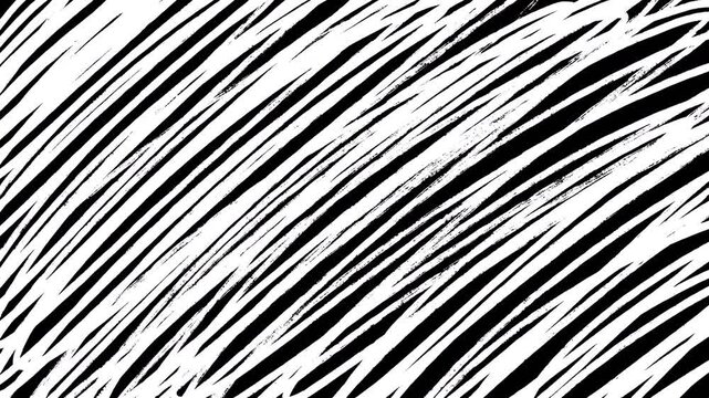Artistic Hand Drawn Black Ink Scribble Hatching Texture Background Abstract Motion Graphics Animation Video 4K