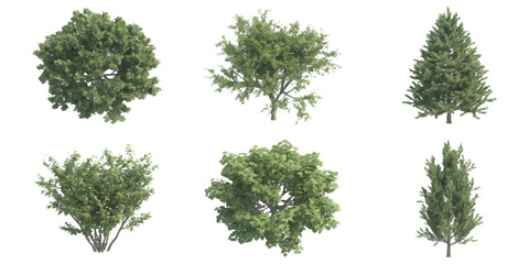 Set of six different green trees and bushes including deciduous plants and coniferous pine for landscaping © ZenVectors