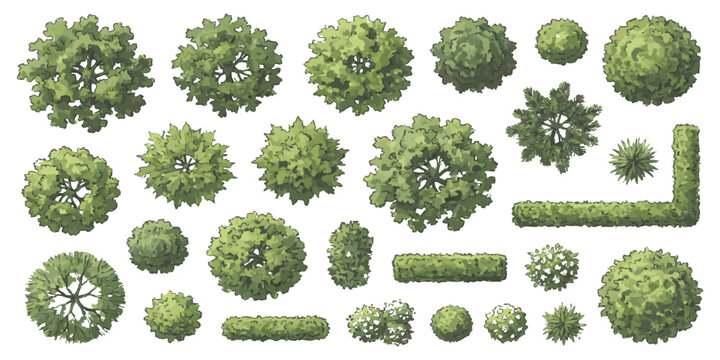 Set of green trees and garden bushes seen from above for architectural landscape design and site planning