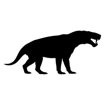 Black silhouette of a prehistoric sabertoothed cat animal.