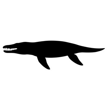 Black silhouette of a prehistoric mosasaur marine reptile.
