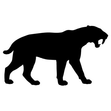 Black silhouette of a sabertoothed cat on white background 1.