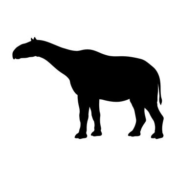 Silhouette of a prehistoric extinct giant mammal Paraceratherium.
