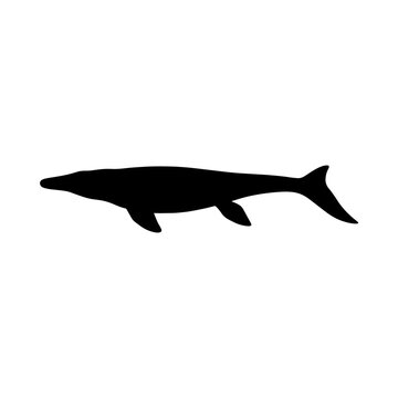 Silhouette of a prehistoric mosasaurus marine reptile swimming.