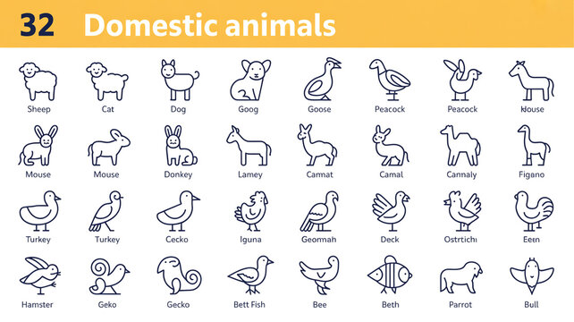 Domestic animals illustration set with names and labels guinea pig line art animal names domestic illustration goldfish hedgehog butterfly