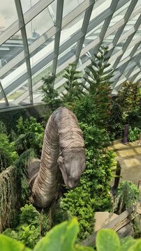 Dinosaurus in the indoor garden