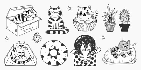 Collection Of Black And White Line Art Cats And Plants © Ajay
