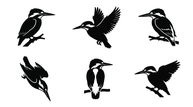 A set of six kingfisher bird silhouette vector icon illustrations on a white background
