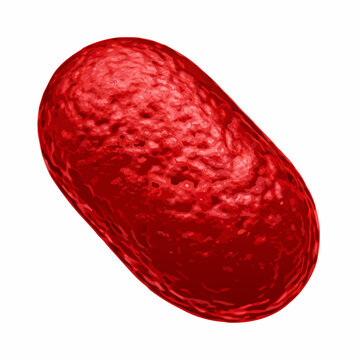 Red Bacterium Render A Detailed Three Dimensional Macro Illustration On White Background