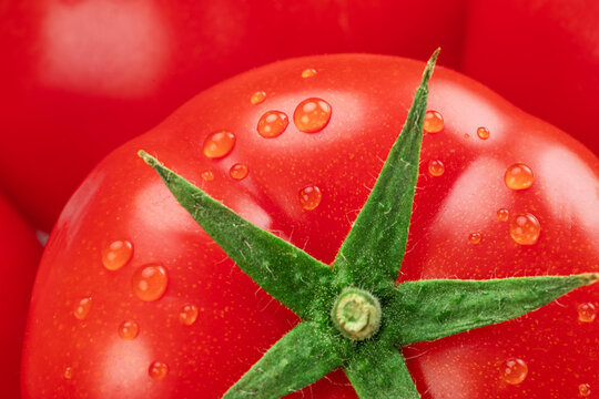 Macro close up photo of ripe tomatoes with water drops.  Organic tomato vegetable perfect for healthy meals.