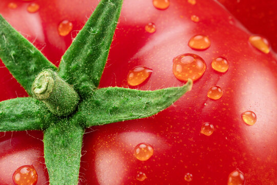 Macro close up photo of ripe tomatoes with water drops.  Organic tomato vegetable perfect for healthy meals.