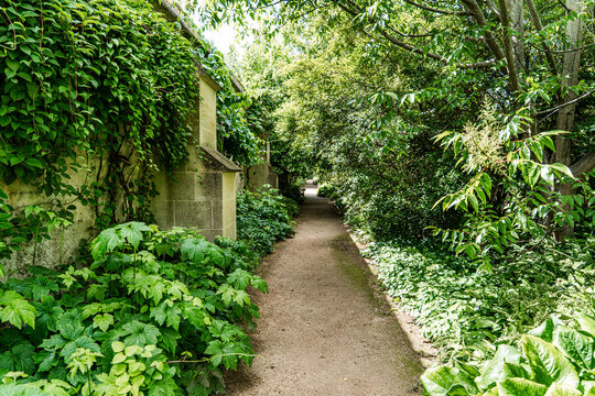 Lush vegetation in the University of Oxford Botanic Garden, the oldest botanic garden in Britain, founded in 1621, Oxford, England, UK. 