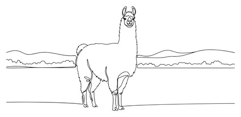Fototapeta premium Llama standing in landscape continuous one line art style, minimalist alpaca and nature illustration for travel