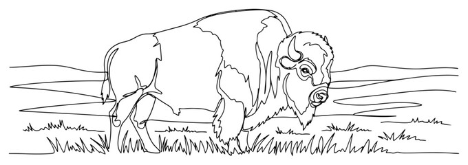 Bison or American buffalo in field landscape in continuous one line art style, minimalist wildlife and nature illustration © ----WWWLINE----
