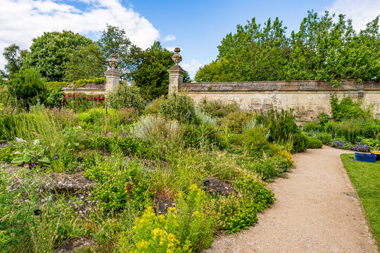Lush vegetation in the University of Oxford Botanic Garden, the oldest botanic garden in Britain, founded in 1621, Oxford, England, UK. 