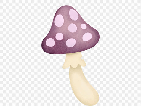 Watercolor purple mushroom botanical illustration Vector.