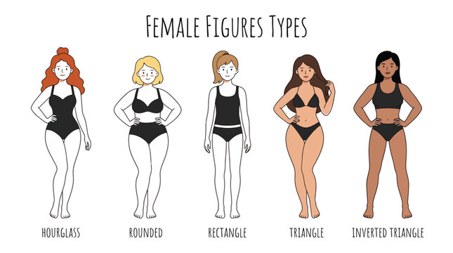 Flat vector illustration showing different female body shapes and types with diverse styles and silhouettes