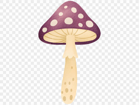 Watercolor spotted woodland mushroom illustration Vector.
