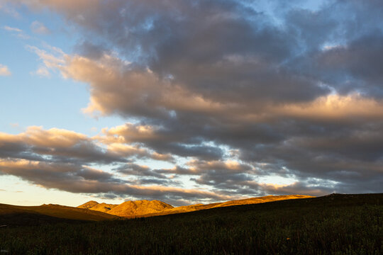 beautiful rolling canola fields and mountains at sunset and dusk, Stanford, South Africa
