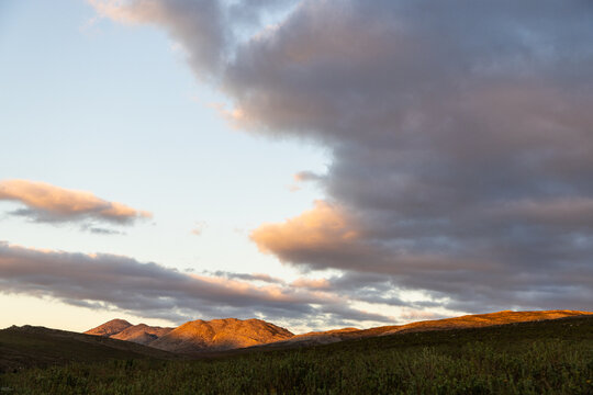 beautiful rolling canola fields and mountains at sunset and dusk, Stanford, South Africa