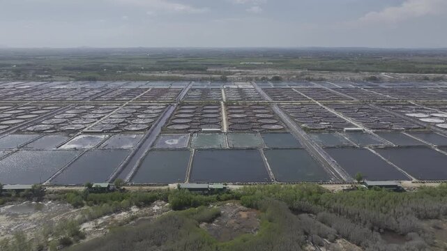 Aerial drone footage of sunrise over shrimp farms in Loc An, Ho Chi Minh City, Vietnam, featuring aquaculture ponds, golden reflections, coastal wetlands and sustainable seafood farming.