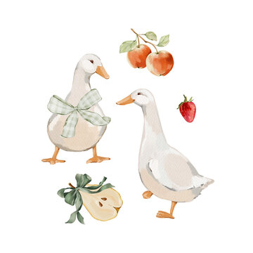 Watercolor geese with apples, pear and strawberry isolated clipart. Hand painted farmhouse illustration for nursery decor, stationery, fabric, packaging, children's products and country designs.