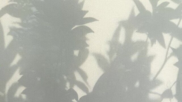 A sun blind with the shadows of trees and leaves fluttering in the wind behind it