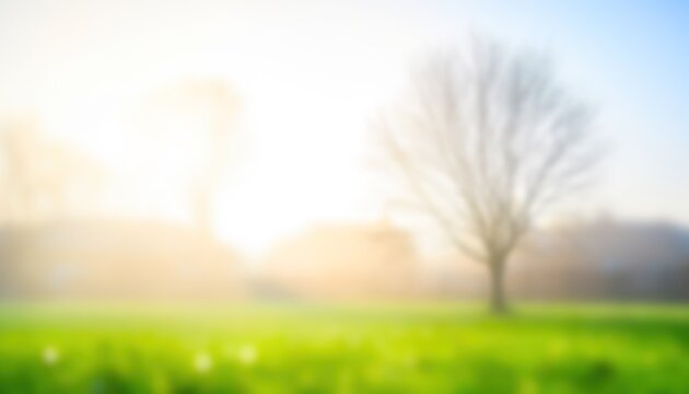 Soft blurry landscape with a lonely tree in a green field at sunrise.