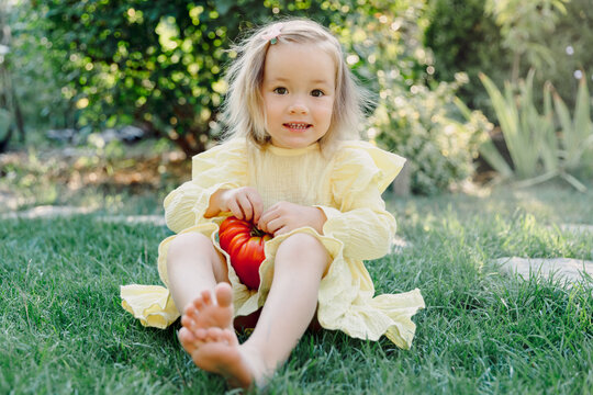 Little child girl with fresh tomato in summer garden.