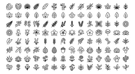 Minimalist nature line icons, set of 120 botanical vector elements, black outline leaf and flower symbols for organic branding and web design © chasad