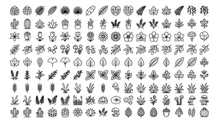 Minimalist botanical line icons, collection of 150 nature vector elements, black and white floral symbols for branding and web design © chasad