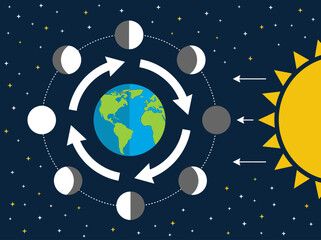 Naklejka premium Moon Phases Diagram Showing Lunar Cycle Around Earth and Sun Light