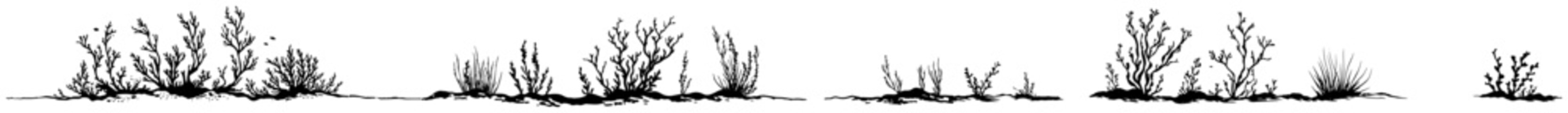 Obraz premium Horizontal set of small wild plants shrubs and meadow weeds silhouettes elements