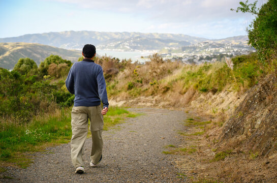 Man walking on the track, Porirua Harbour and residential houses in the distance. Wellington.