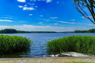 Szczecinek - przyroda miejska © rob