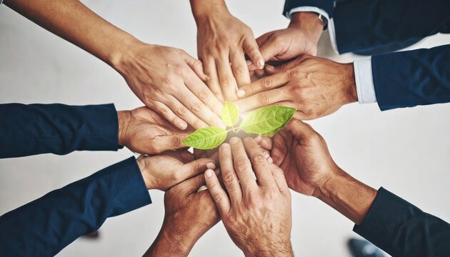 Diverse Business Hands Protecting Green Seedling in Sustainability Teamwork Concept