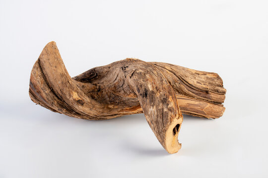 A dry tree branch curve, bonsai on white background